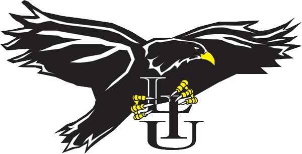 LIU-Brooklyn Blackbirds 1996-2007 Primary Logo iron on transfers for T-shirts